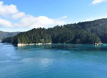 new-zealand/marlborough/attraction/dieffenbach-point