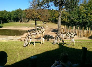 czechia/brno/brno-bystrc/attraction/brno-zoo