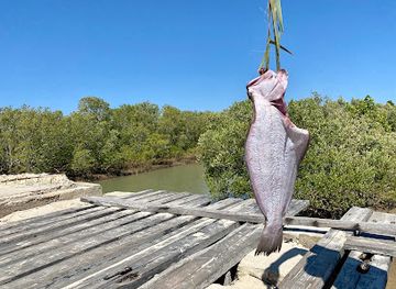 madagascar/menabe/attraction/kimony-beach-morondava