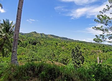 philippines/siquijor/attraction/mt-bandilaan-national-park