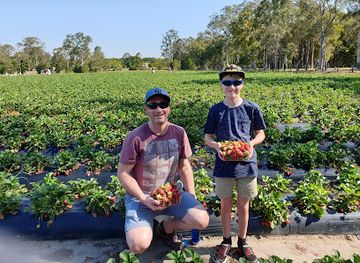 australia/sunshine-coast/attraction/palmview-conservation-park