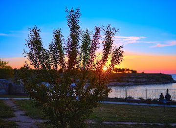 ukraine/sevastopol/attraction/park-imeni-hanny-akhmatovoi