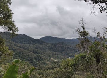 madagascar/fianarantsoa/attraction/nocturnal-species-feeding-station