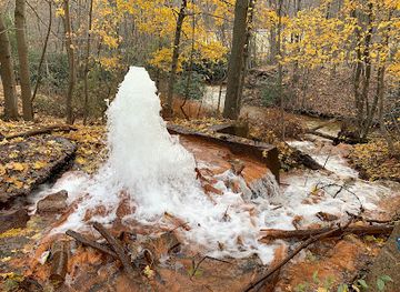pennsylvania/anthracite-coal-region/attraction/big-mine-run-geyser
