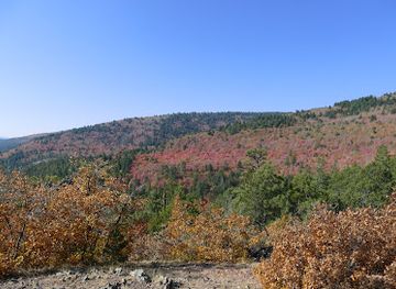 new-mexico/manzano-mountains/attraction/fourth-of-july-trailhead