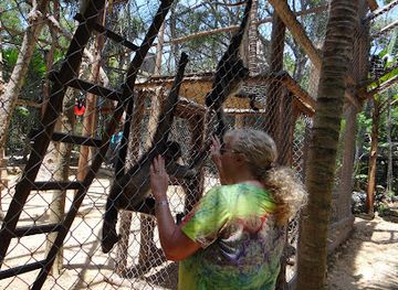 mexico/riviera-maya/attraction/the-jungle-place