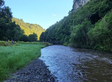 new-zealand/waitomo-caves/attraction/mangaokewa-reserve