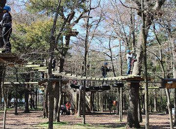 texas/dallas/attraction/trinity-forest-adventure-park