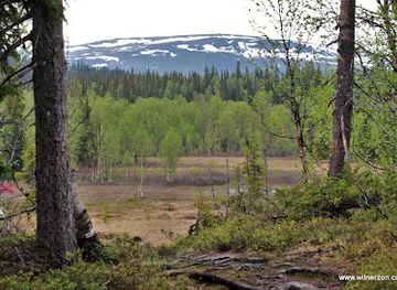 sweden/vasterbotten/attraction/korallgrottans-naturreservat
