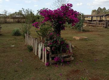 kenya/mount-elgon-national-park/attraction/chorlim-wildlife-sanctuary