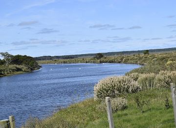 uruguay/quebrada-de-los-cuervos-national-park/attraction/monte-de-ombues
