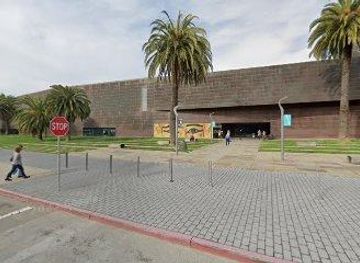 california/berkeley/attraction/50-hagiwara-tea-garden-dr