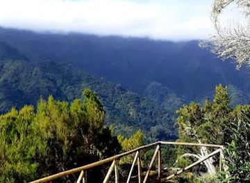 portugal/madeira/attraction/pr14-levada-dos-cedros
