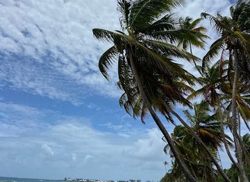 trinidad-and-tobago/argyle-waterfall/attraction/natural-palm-beach