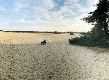 netherlands/hoge-veluwe-national-park/attraction/buurtbos