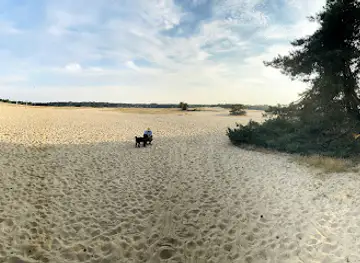 Buurtbos