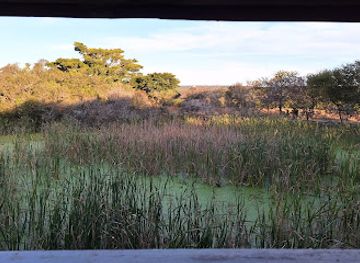 south-africa/addo-elephant-national-park/attraction/main-camp-bird-hide