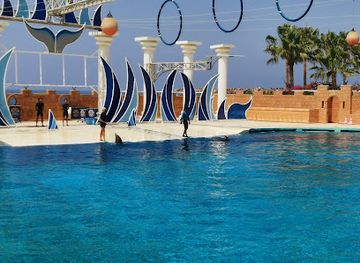 turkiye/lycian-way/attraction/dolphin-park