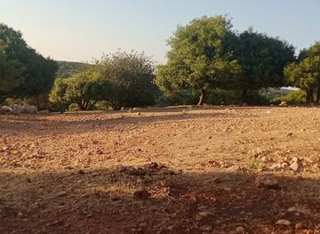 jordan/ajloun-castle/attraction/ghabat-ashtefina