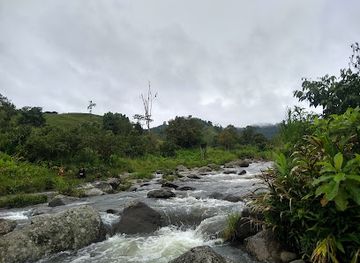 colombia/los-nevados-national-natural-park/attraction/piedras-marcadas