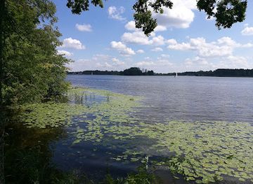 poland/zegrze-reservoir/attraction/ruiny-dworku-szaniawskich