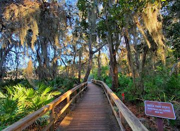 florida/jacksonville/attraction/theodore-roosevelt-area-at-timucuan-preserve