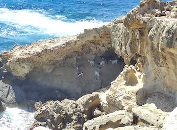 cyprus/akamas-peninsula-national-park/attraction/goat-s-cave