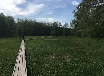 hungary/western-transdanubia/attraction/marshlands-of-szoce