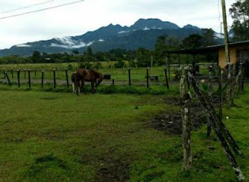 panama/david/attraction/museo-del-barrio-y-antiguedades-la-casona