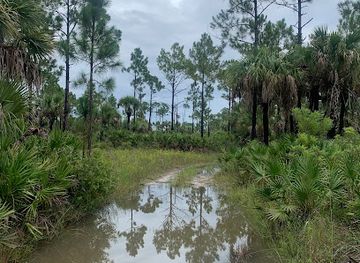 florida/fakahatchee-strand-preserve-state-park/attraction/everglades-jeep-tours