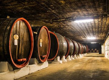 moldova/cricova-wine-cellars/attraction/beciurile-cricova