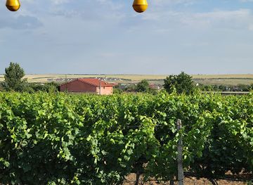 romania/constanta/attraction/crama-gabai