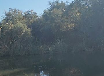 jordan/shawmari-wildlife-reserve/attraction/la-reserve-de-shaumari