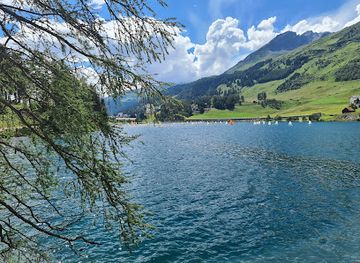 switzerland/klosters/attraction/wanderweg-davosersee
