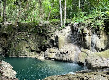 belize/mountain-pine-ridge-forest-reserve/attraction/shower-falls