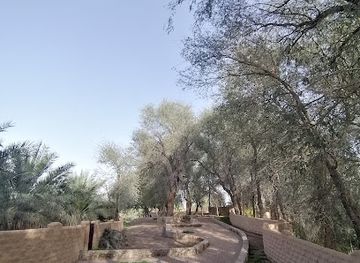 united-arab-emirates/al-ain-oasis/attraction/majlis-aqdat-al-zuhur