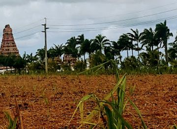 mauritius/savanne/attraction/tookay-temple