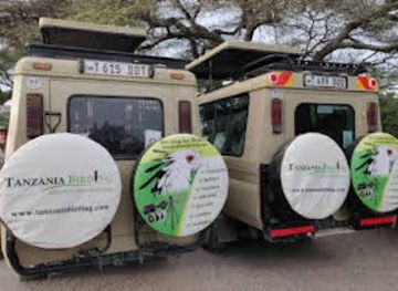 tanzania/selous-game-reserve/attraction/tanzania-birding-and-beyond-safaris