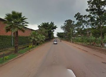 uganda/kampala/nakasero/attraction/kowsalya-forest