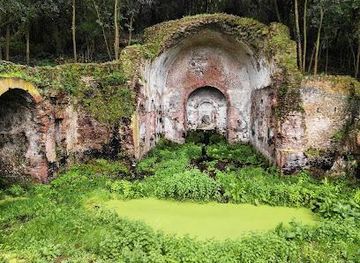 vatican-city/sistine-chapel/attraction/ninfeo-di-egeria