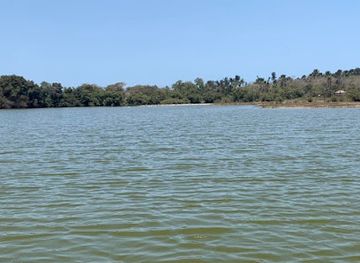 the-gambia/kombo-south/attraction/bolongfenyo-community-wildlife-reserve-gepadg