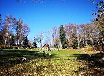 croatia/medvednica-mountain/attraction/cinovnicka-livada