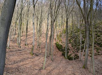 hungary/aggtelek-national-park/attraction/meteor-barlang