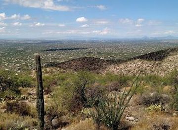 arizona/tucson/attraction/east-mt-lemmon-highway-lookout
