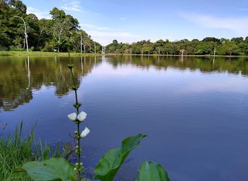 brazil/cerrado/attraction/ernani-jose-machado-lake