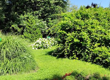 romania/muntenia/attraction/the-national-military-museum