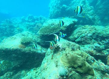 sri-lanka/unawatuna/attraction/lord-nelson-shipwreck-godagala