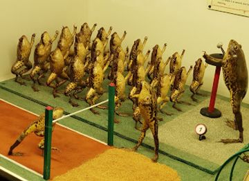 croatia/podravina/attraction/froggyland