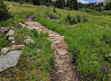 washington/northern-cascades/attraction/pasayten-wilderness