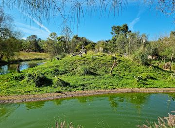 morocco/zemmour/attraction/national-zoo-rabat-morocco